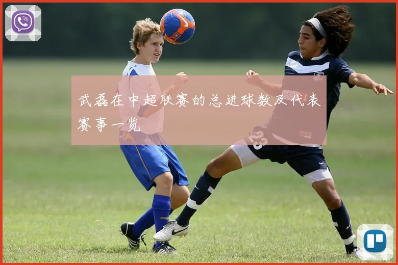 武磊在中超联赛的总进球数及代表赛事一览