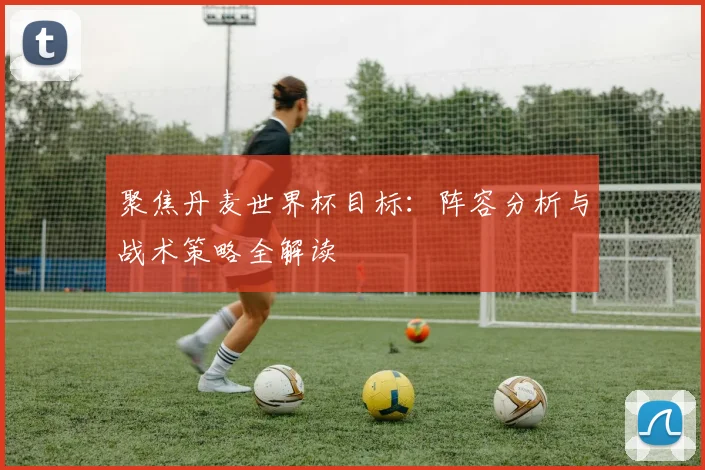 聚焦丹麦世界杯目标：阵容分析与战术策略全解读