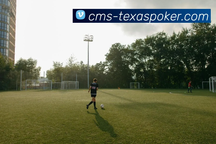 多媒体互动体验